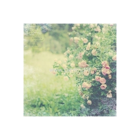 Popierius "Rose Garden - In Bloom collection", 30,5x30,5 cm