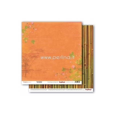 Paper "Eucalypus - Tropics collection", 30,5x30,5 cm