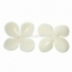 Acrylic bead cap, ivory, 34x34 mm, 1 pc