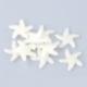 Acrylic embellishment "Starfish", ivory, 18x18 mm