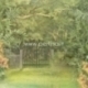 Paper "Secret Garden - Tropics collection", 30,5x30,5 cm