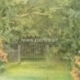 Popierius "Secret Garden - Tropics collection", 30,5x30,5 cm