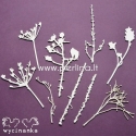 Chipboard "The look of nature - set", 9 pcs