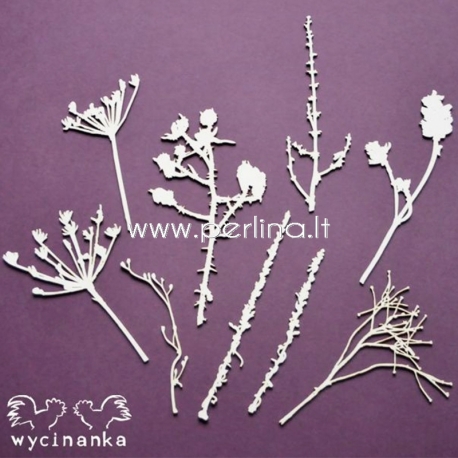 Kartoninė detalė "Žvilgsnis į gamtą - rinkinys", 9 vnt.