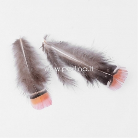 Chicken feather, camel, 70~75x30~40mm, 1 pc