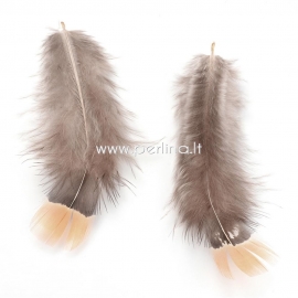Chicken feather, sandy brown, 70~80x30mm, 1 pc