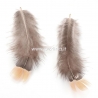 Plunksna vištos, pilka-smėlio ruda sp., 70~80x30mm, 1 vnt