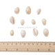Shell bead charm, 14x20x9mm, 1box
