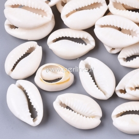 Kriauklės karoliukas (be skylutės), 20~28x15~20x8~9mm, 1 vnt.