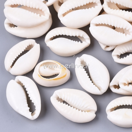 Shell cowrie shell bead, 120~28x15~20x8~9mm, 1 pc