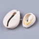 Shell cowrie shell bead, 120~28x15~20x8~9mm, 1 pc
