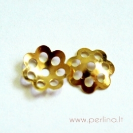 Karoliuko kepurėlė, 19x5 mm