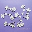 Chipboard "Garden - Apple blossom", 8 pcs