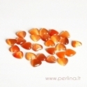 Synthetic Cat's Eye glass cabochon, orange, 8x8 mm