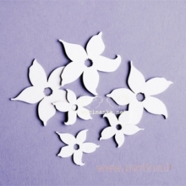 Chipboard "With Daffodils - flowers", 6 pcs