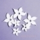 Kartoninė detalė "Gėlės - narcizai", 6 vnt.