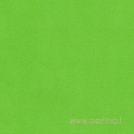 Sandable textured cardstock "Bright green", 30,5x30,5 cm