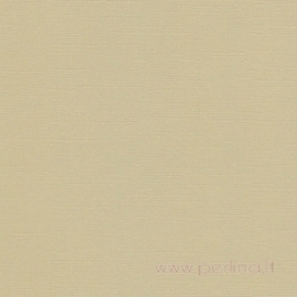 Popierius sendinimui "Olive", 30,5x30,5 cm