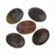 Natural fossil cabochon, 40x30 mm