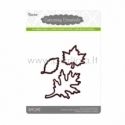 Die cut stencil leaves, 64x50 mm, 41x29 mm, 30x25 mm, 3 pc