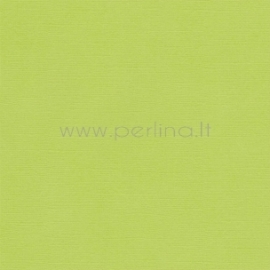 Popierius sendinimui "Pale green", 30,5x30,5 cm