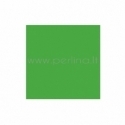 Rainbow Classic Felt "Apple Green", 22,9x30,5 cm