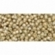 TOHO seed beads, Color-Lined Black Diamond/Orange Creme Lined (369), 11/0,10 g