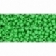 TOHO biseris, matinis Mint Green (47), 11/0, 10 g