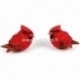 Bird Cardinal, 2 PC/Pkg