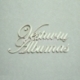 Kartoninė detalė "Vestuvių Albumas", 3 vnt.