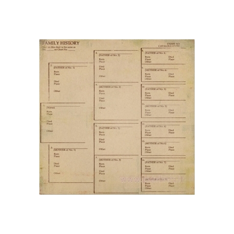 Popierius "All dressed up 1", 30,5x30,5cm