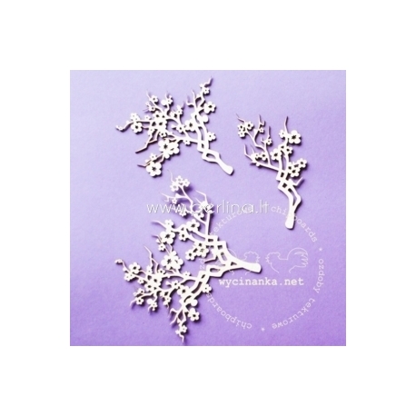 Chipboard "Twig of Cherry blossoms", 3 pcs