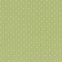 Popierius "Dotted Swiss - Celtic Green", 30,5x30,5cm