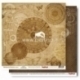 Popierius "Nautilus - Mechanical Illusions Collection", 30,5x30,5 cm